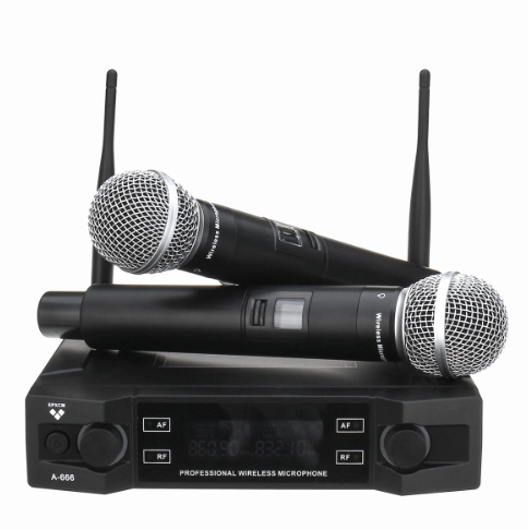 Electric Lifestyles A-666 Wireless Microphone System (Dual Mic Set