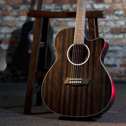 Washburn Deep Forest Ebony Ace Acoustic Guitar