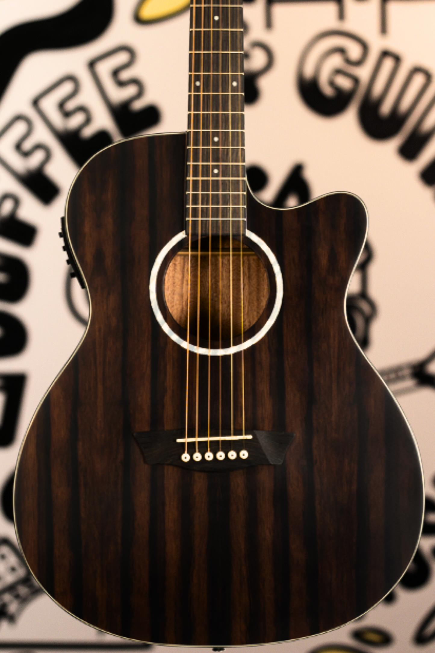 Washburn Deep Forest Ebony Ace Acoustic Guitar