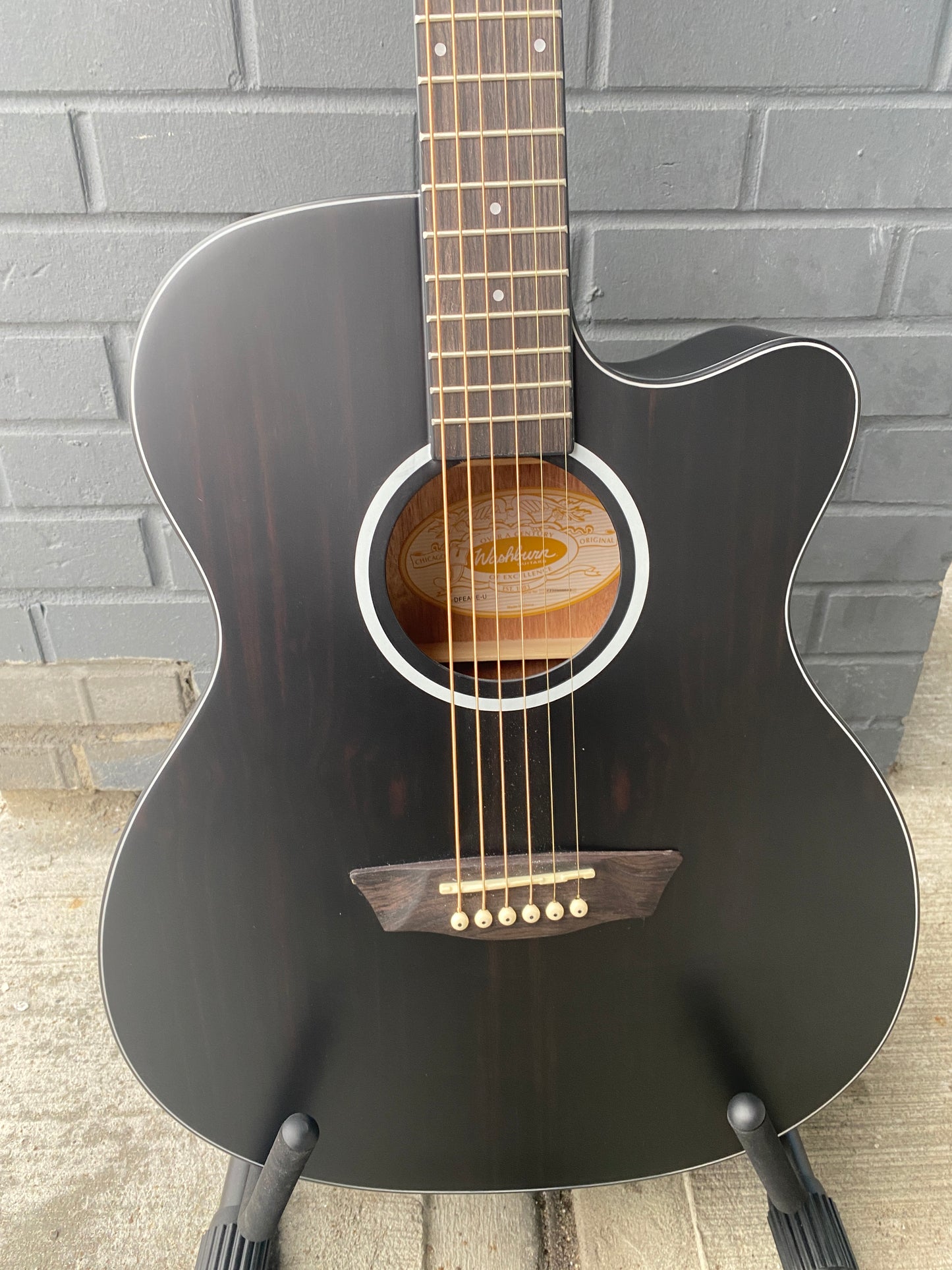 Washburn Deep Forest Ebony Ace Acoustic Guitar