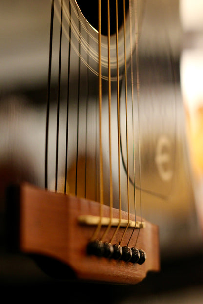 Epiphone Songmaker DR-100 Acoustic Guitar - Ebony