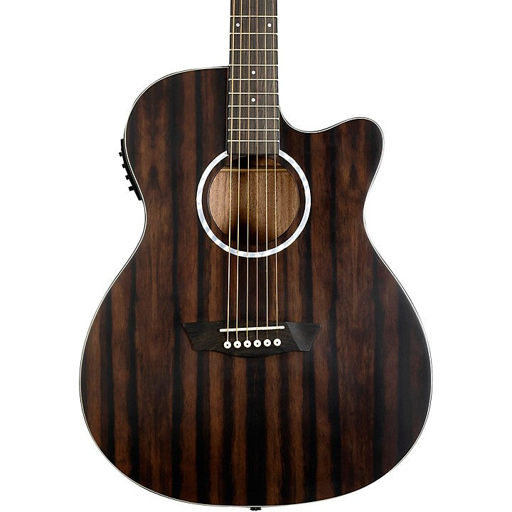 Washburn Deep Forest Ebony Ace Acoustic Guitar